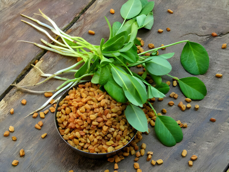 Fenugreek In Yoruba: Check out what the seed is called and used for in Nigeria