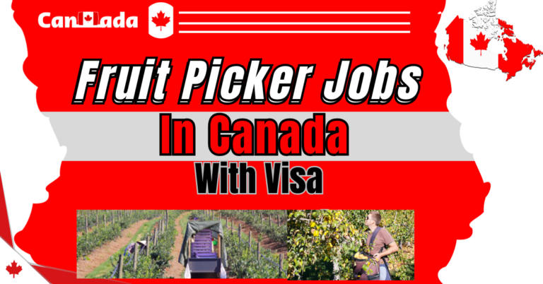 Fruit Picking Jobs In Canada – Benefits & How to Apply in Details – Apply Now